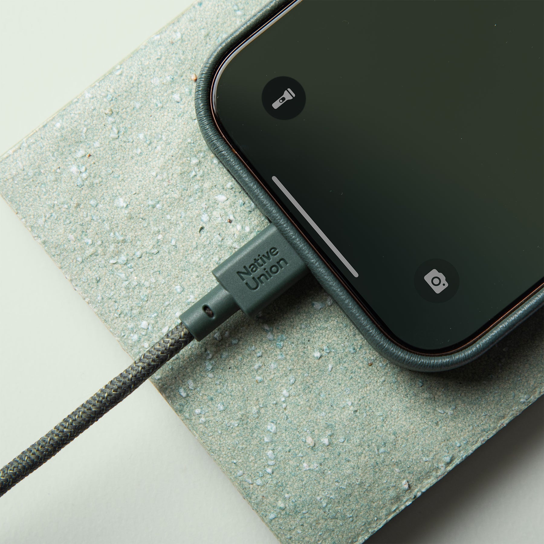 Native Union Belt Cable (USB-C to USB-C) The recycled 4-foot charging cable with bonded leather strap