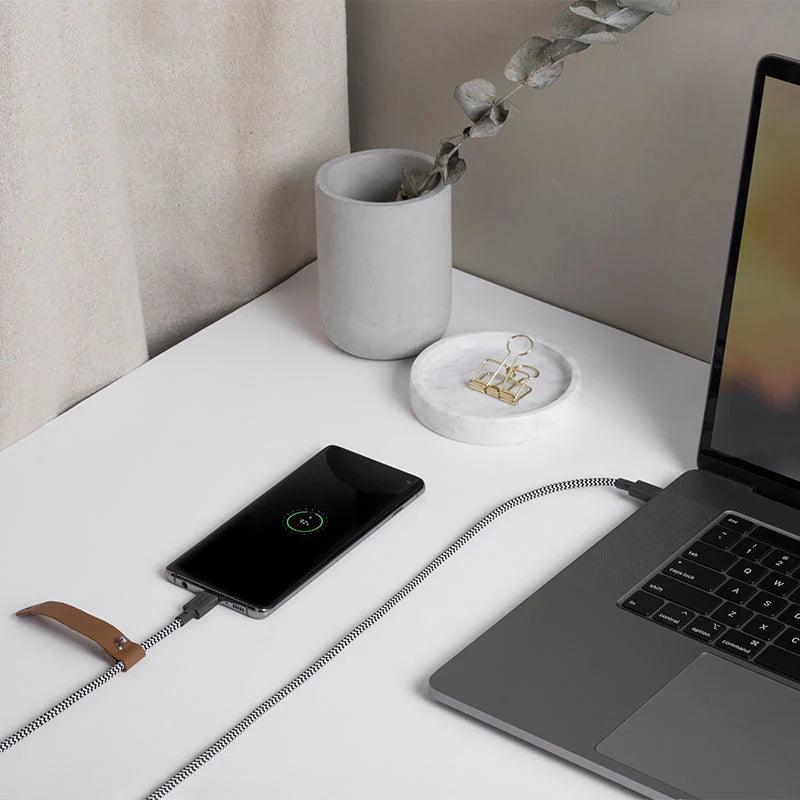 Native Union Belt Cable (USB-C to USB-C) The recycled 4-foot charging cable with bonded leather strap