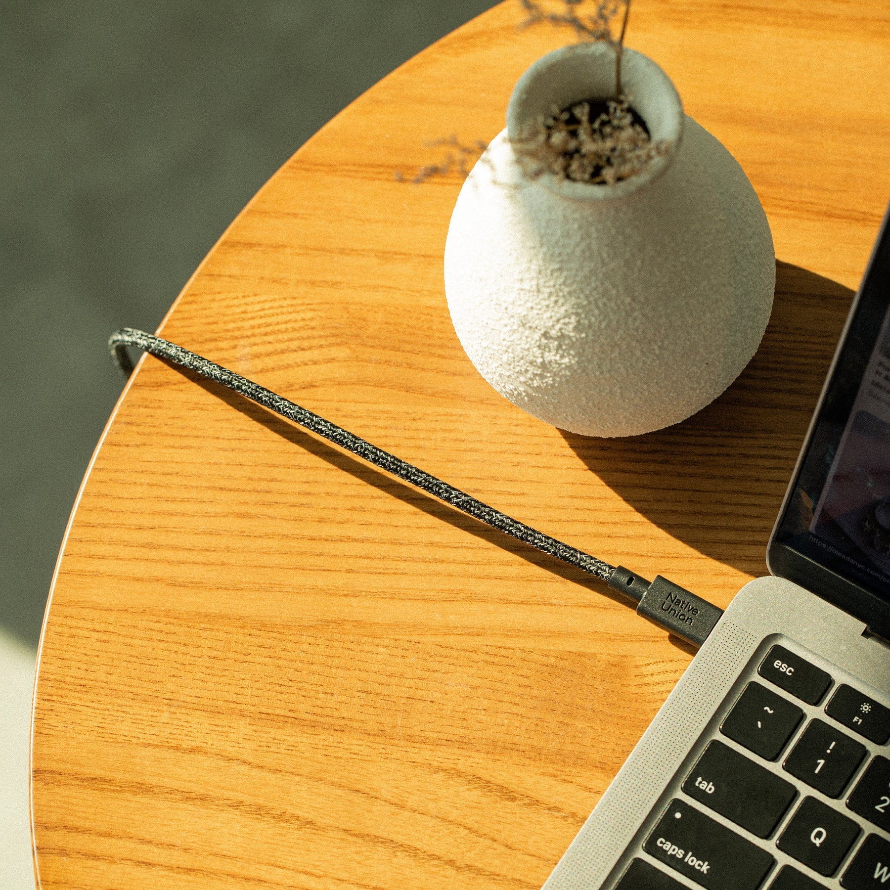 Native Union Belt Cable XL 100W (USB-C to USB-C) The extra-long 10ft / 2.4m cable to charge your devices anywhere