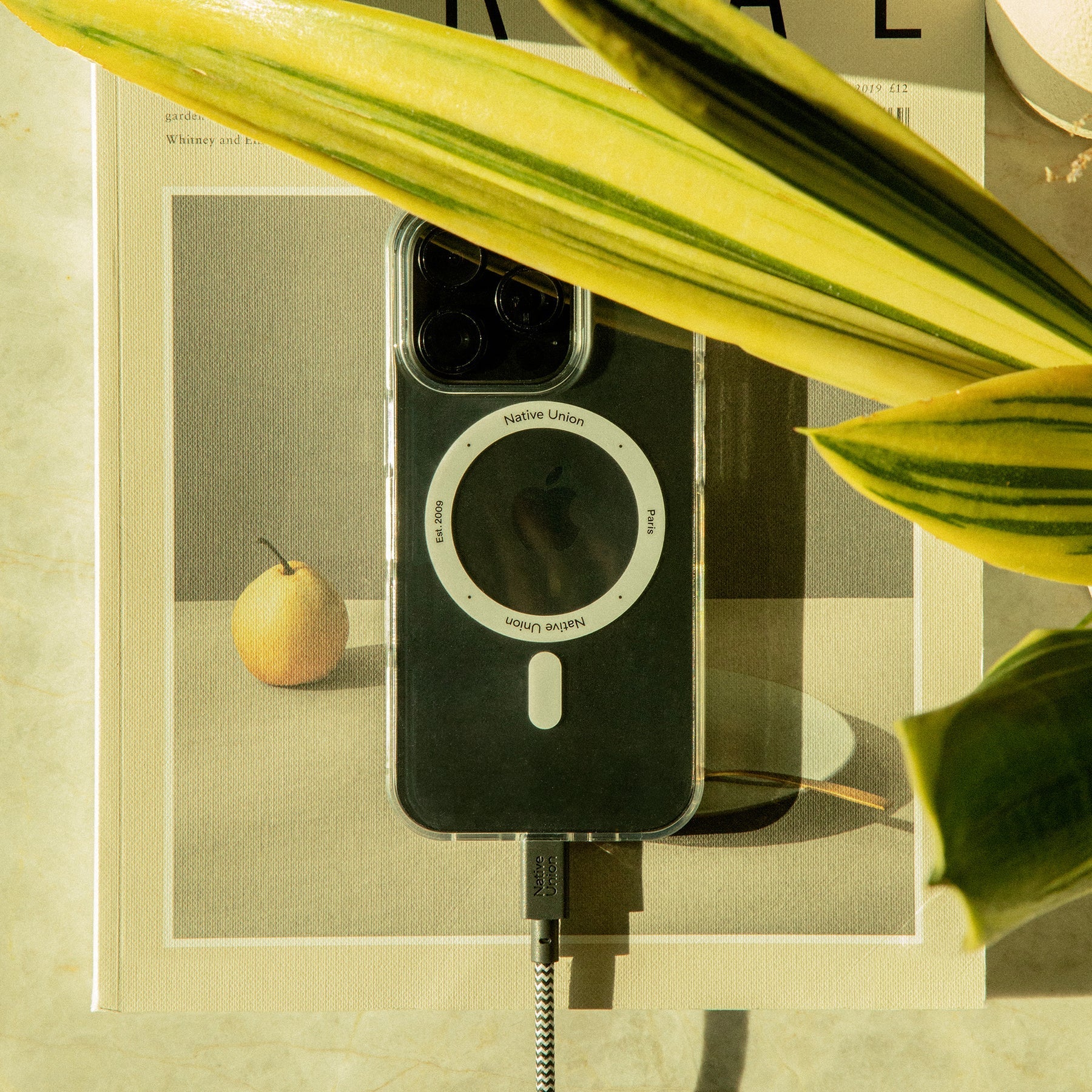 Native Union Belt Cable XL 100W (USB-C to USB-C) The extra-long 10ft / 2.4m cable to charge your devices anywhere