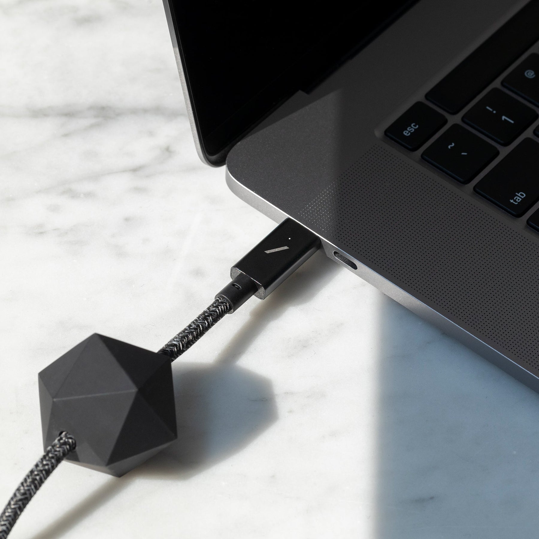 Native Union Desk Cable (USB-C to USB-C) The 8-foot 100W USB-C to USB-C cable with weighted anchor