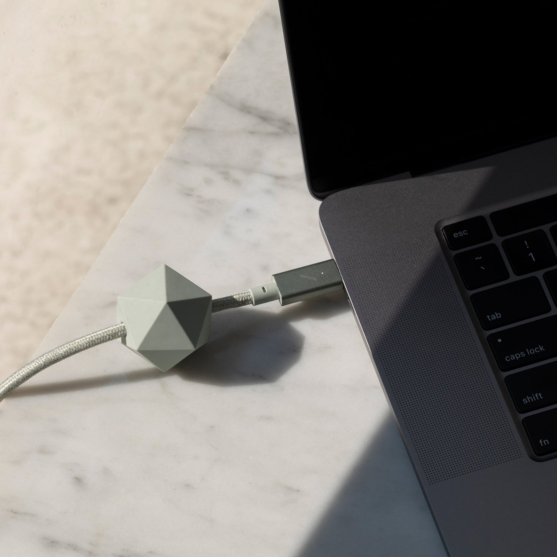 Native Union Desk Cable (USB-C to USB-C) The 8-foot 100W USB-C to USB-C cable with weighted anchor