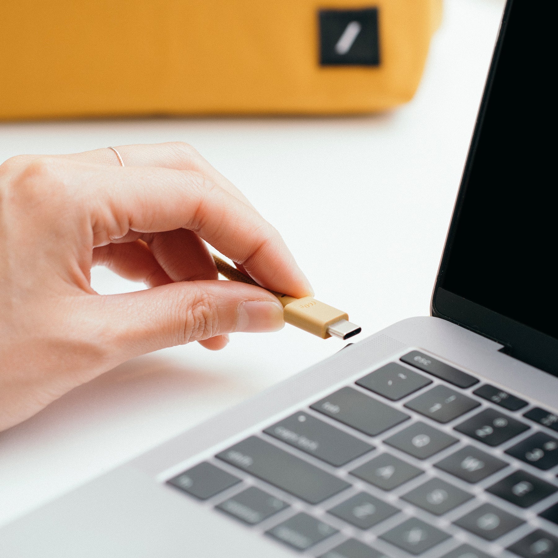 Native Union Belt Cable (USB-C to USB-C) The recycled 4-foot charging cable with bonded leather strap