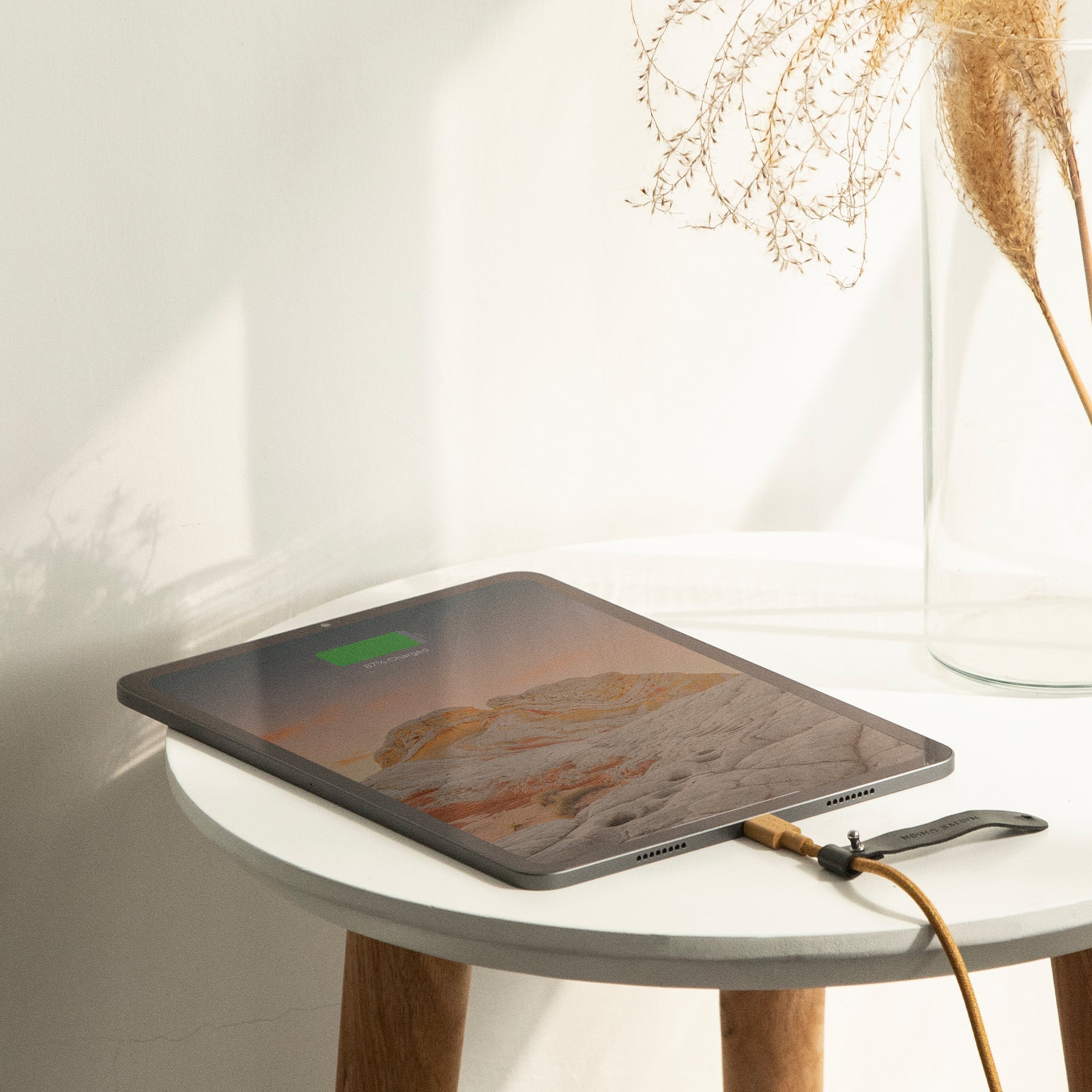 Native Union Belt Cable (USB-C to USB-C) The recycled 4-foot charging cable with bonded leather strap