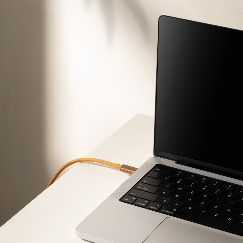 Native Union Belt Cable Pro 240W (USB-C to USB-C) The recycled 8-foot 240W USB-C to USB-C cable with bonded leather strap